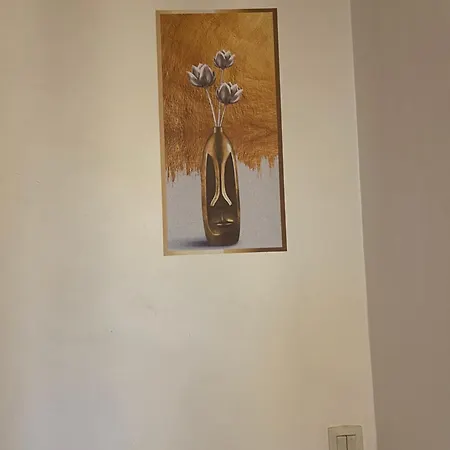 Double Std * لونغجومياو